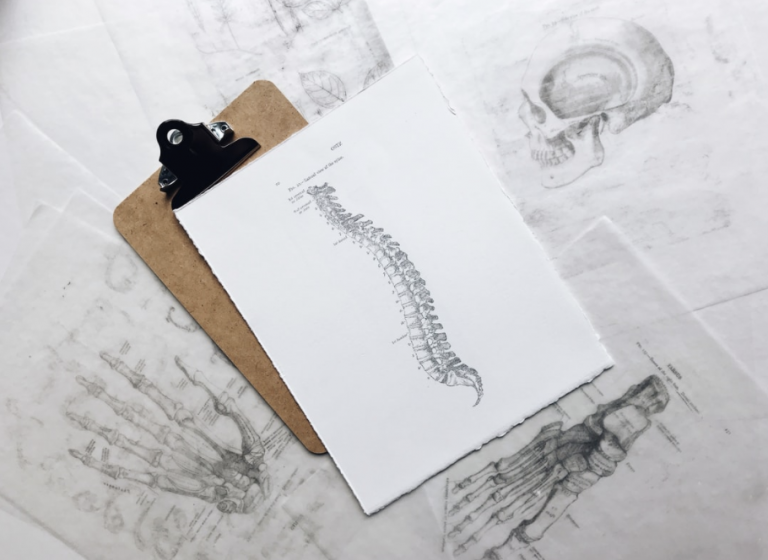 evidence-based questions for chiropractor