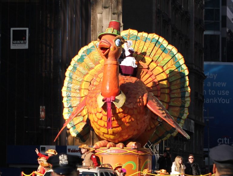 happy thanksgiving