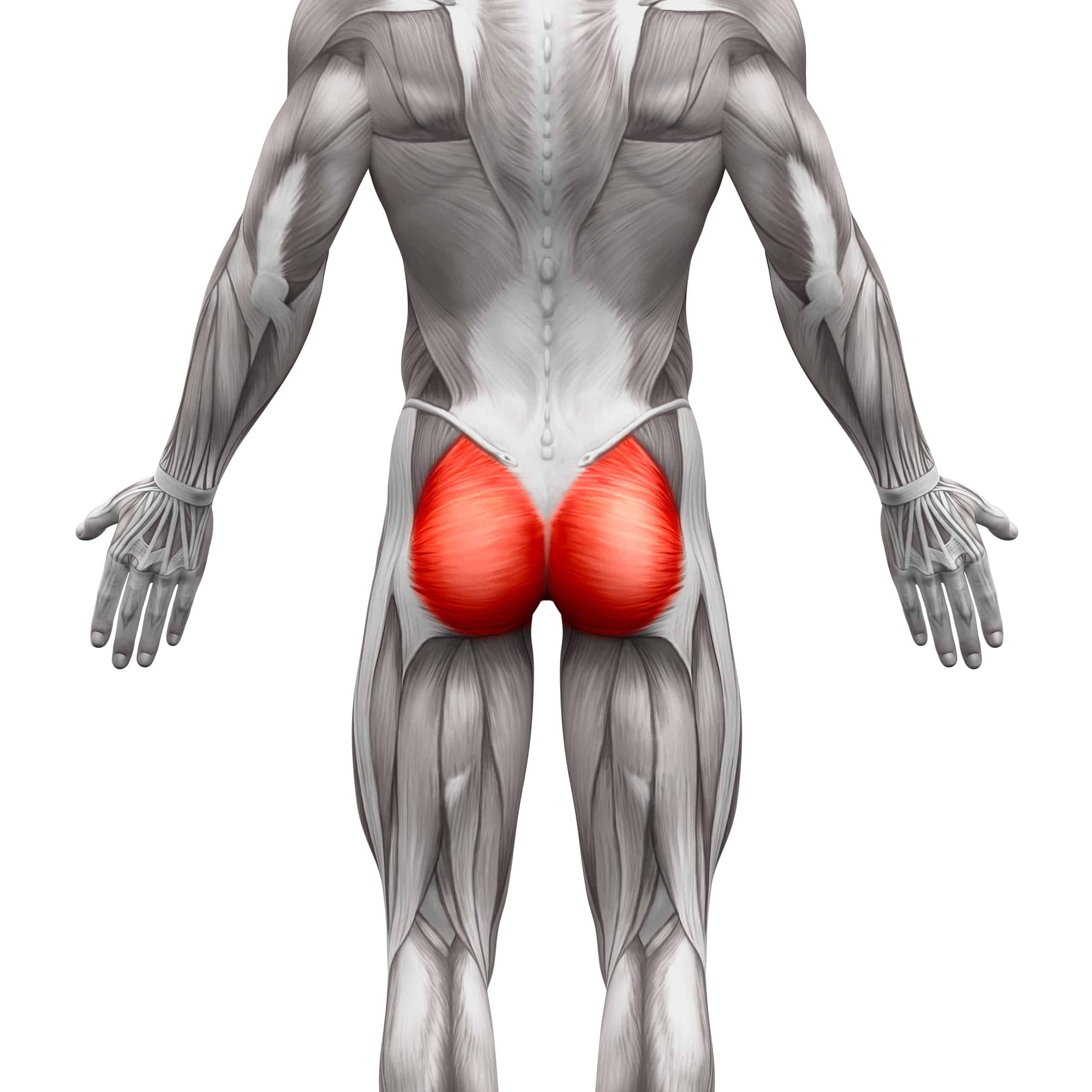 Glute Activation
