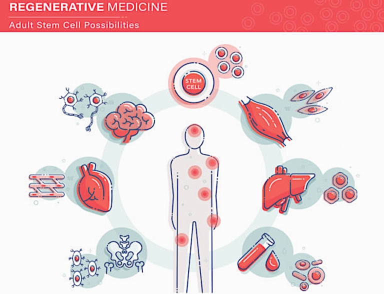 regenerative medicine