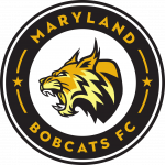 bobcats