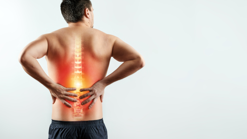 image of man's spine with natural curvature and does not have scoliosis